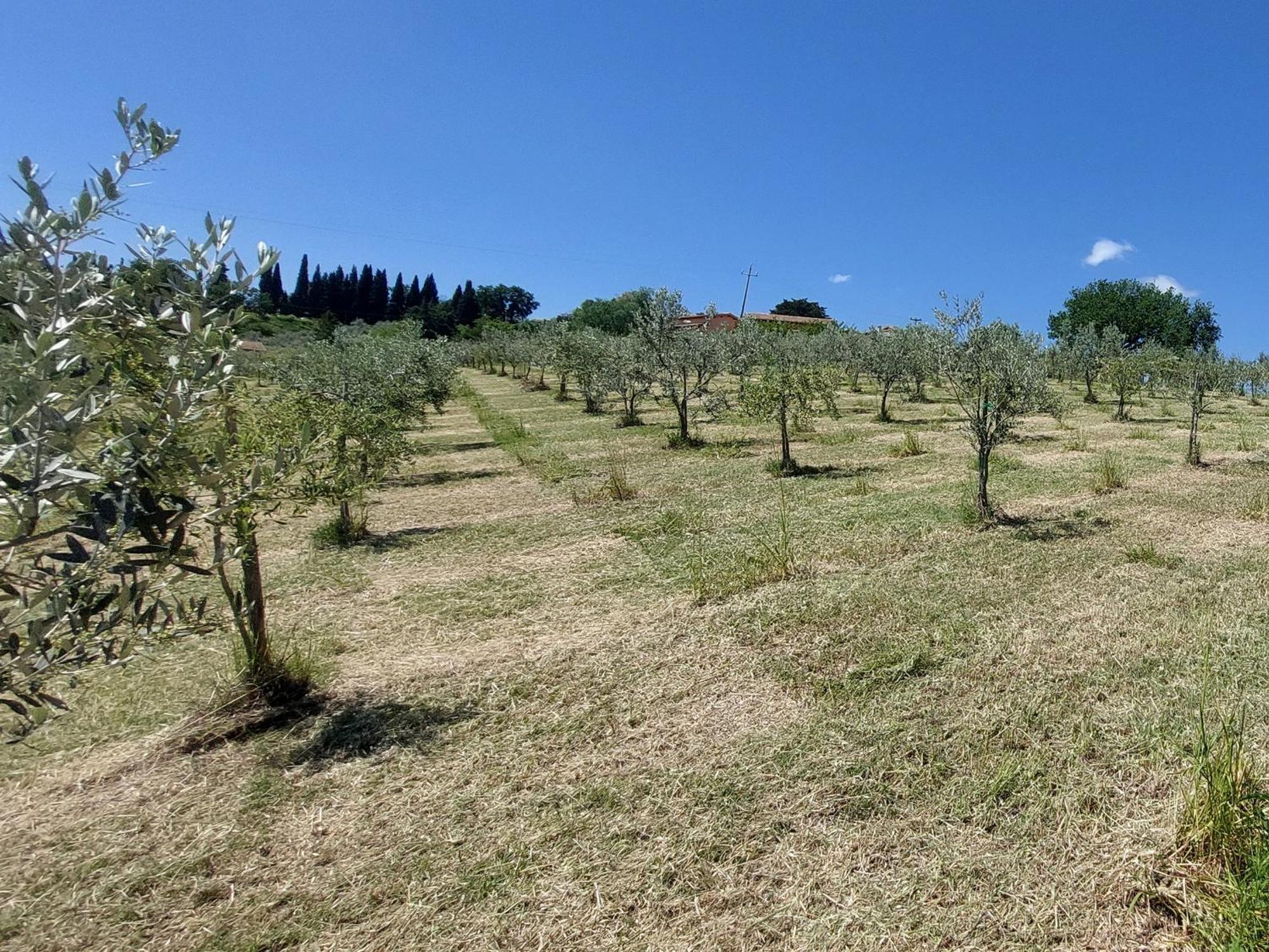 Le Rapacciole Panzió Spoleto Kültér fotó